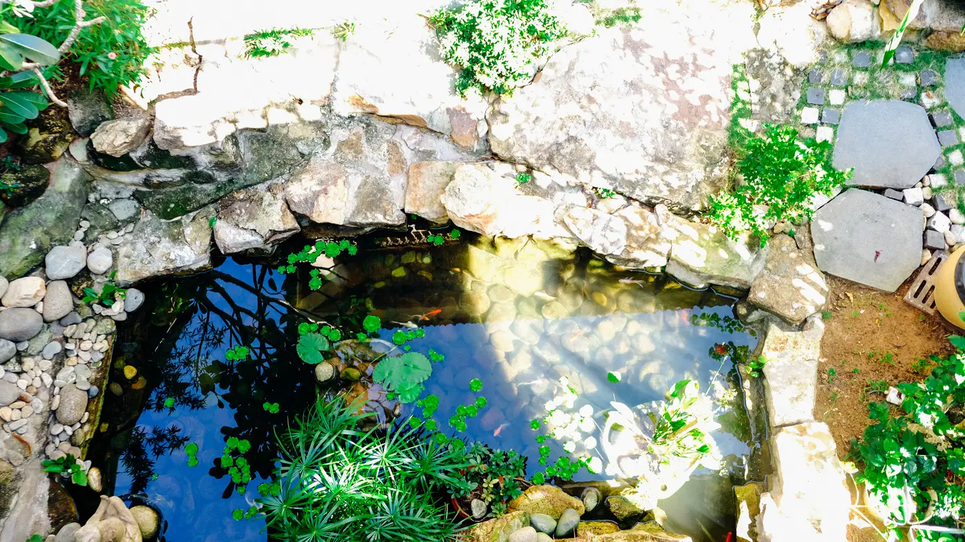 CORAL BAY, photo 1